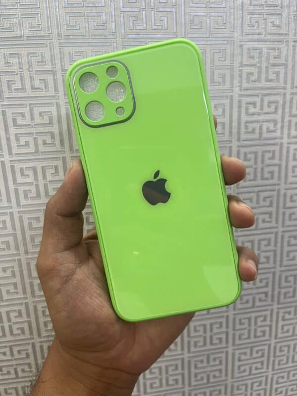 Silicone Glass Case For iPhone 11 Pro - Parrot Green